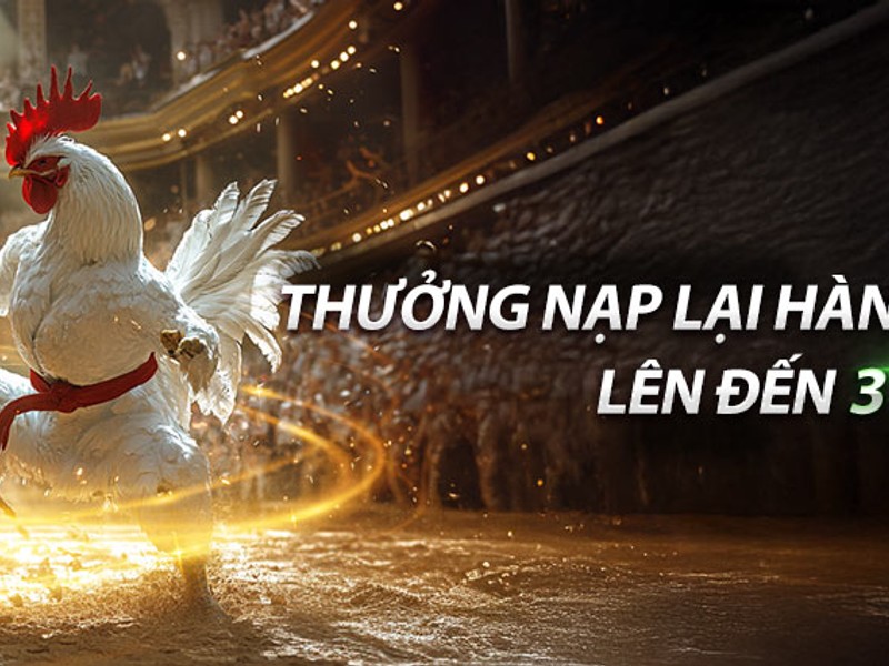 Hoàn Trả Tiền Cược