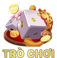 Tiền thưởng sinh nhật & lễ tết