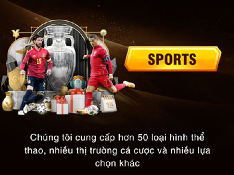 Cá Cược Thể Thao tại Số Đỏ Casino 66